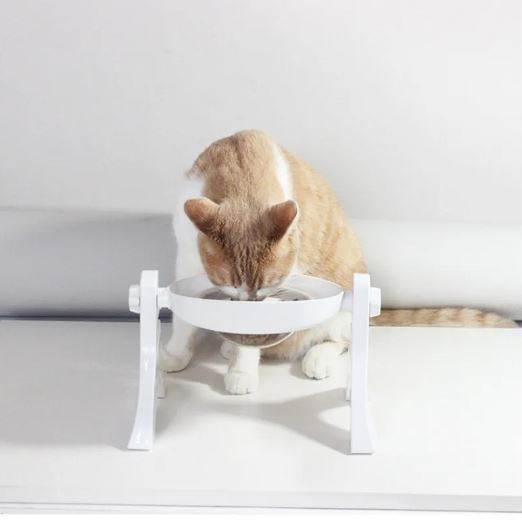 Multipurpose Pets Bowl image 2