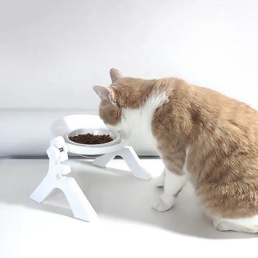 Multipurpose Pets Bowl image 5