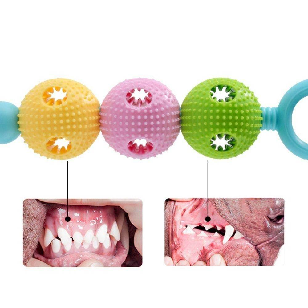 Interactive Dog Tooth Cleaning Massager Stick Toy image 3