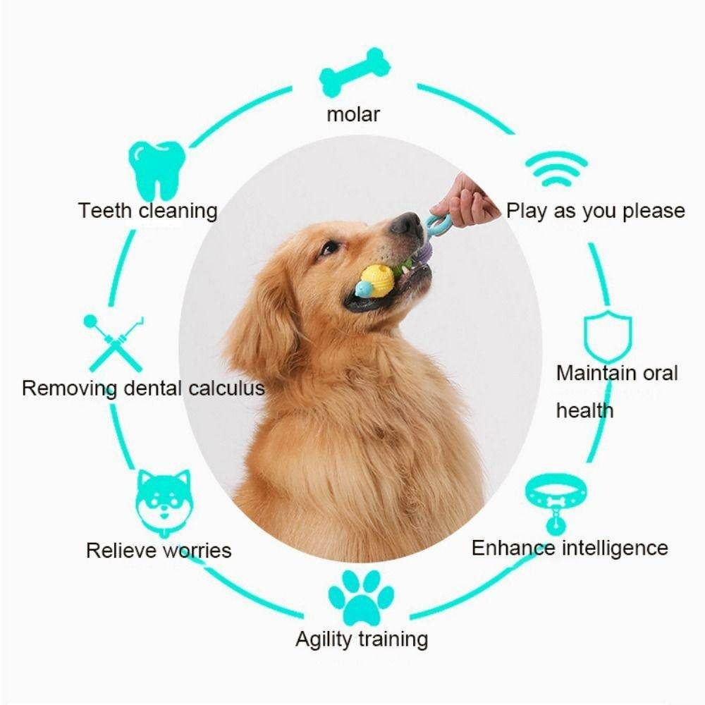 Interactive Dog Tooth Cleaning Massager Stick Toy image 5