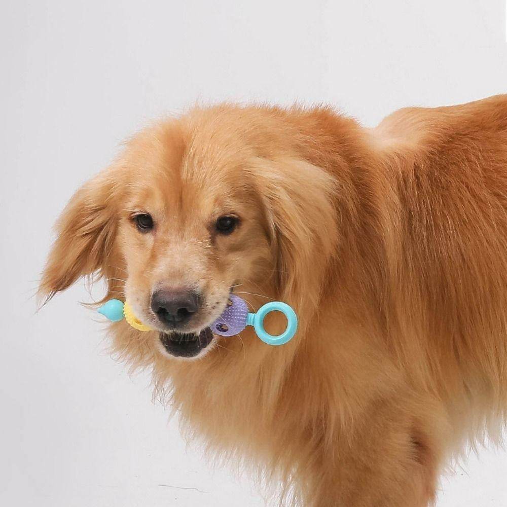 Interactive Dog Tooth Cleaning Massager Stick Toy image 8