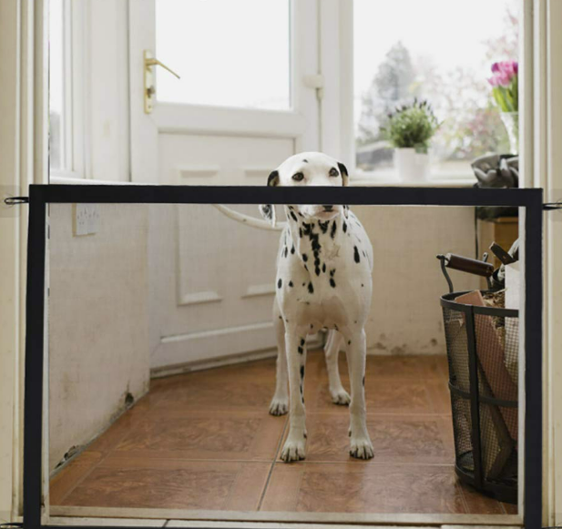 Ingenious Child Pet Safety Mesh Gate image 2