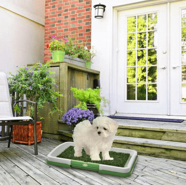Puppy Potty Training Pad image 2