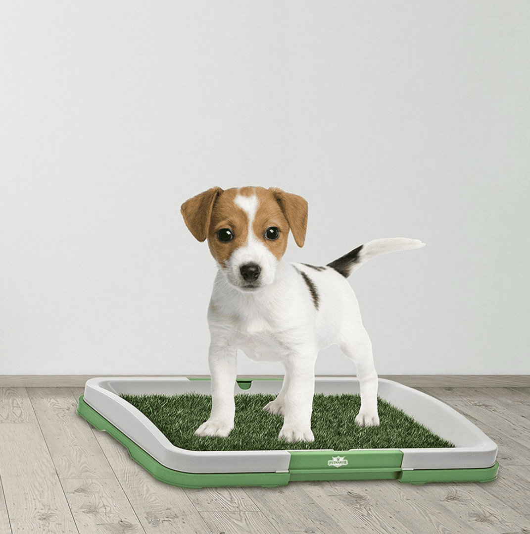 Puppy Potty Training Pad image 3