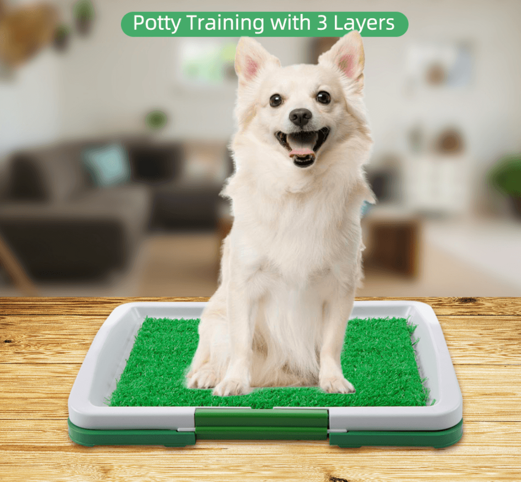 Puppy Potty Training Pad image 4