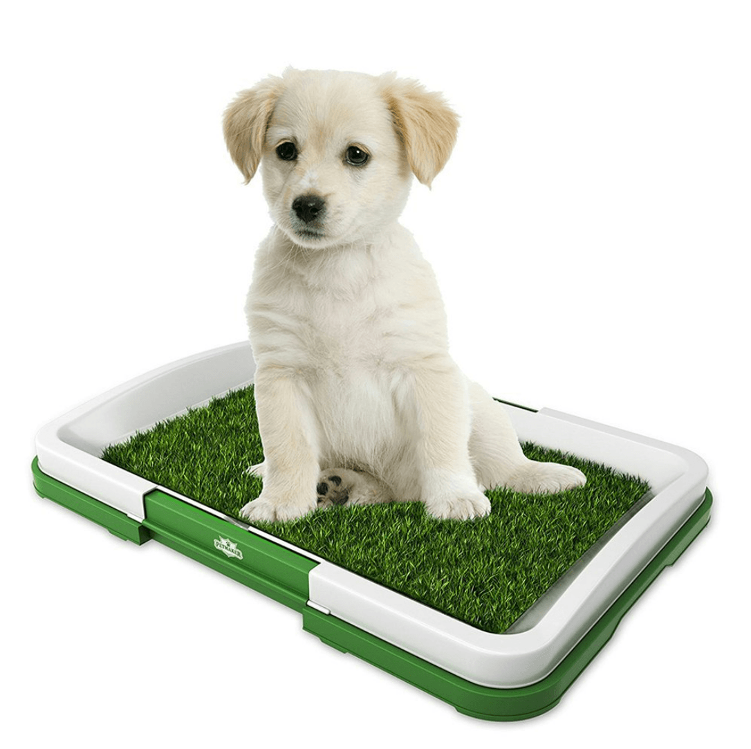Puppy Potty Training Pad image 7