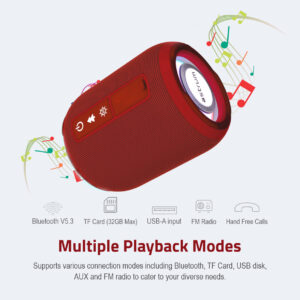 SP110 Portable Bluetooth Speaker 5.3, TF Card FM USB RGB Light TWS - Black image 5