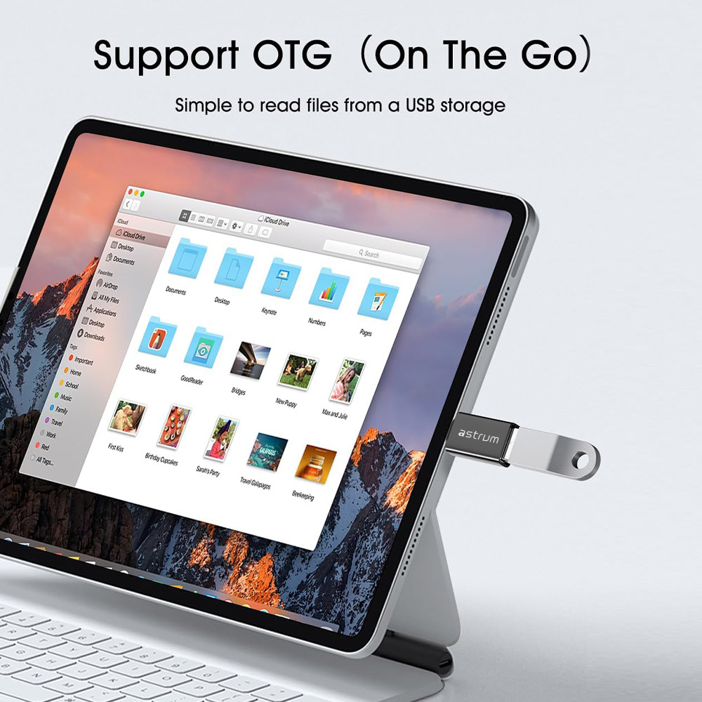 PA300 PASSIVE ADAPTER USB-C - USB-A M-F image 3