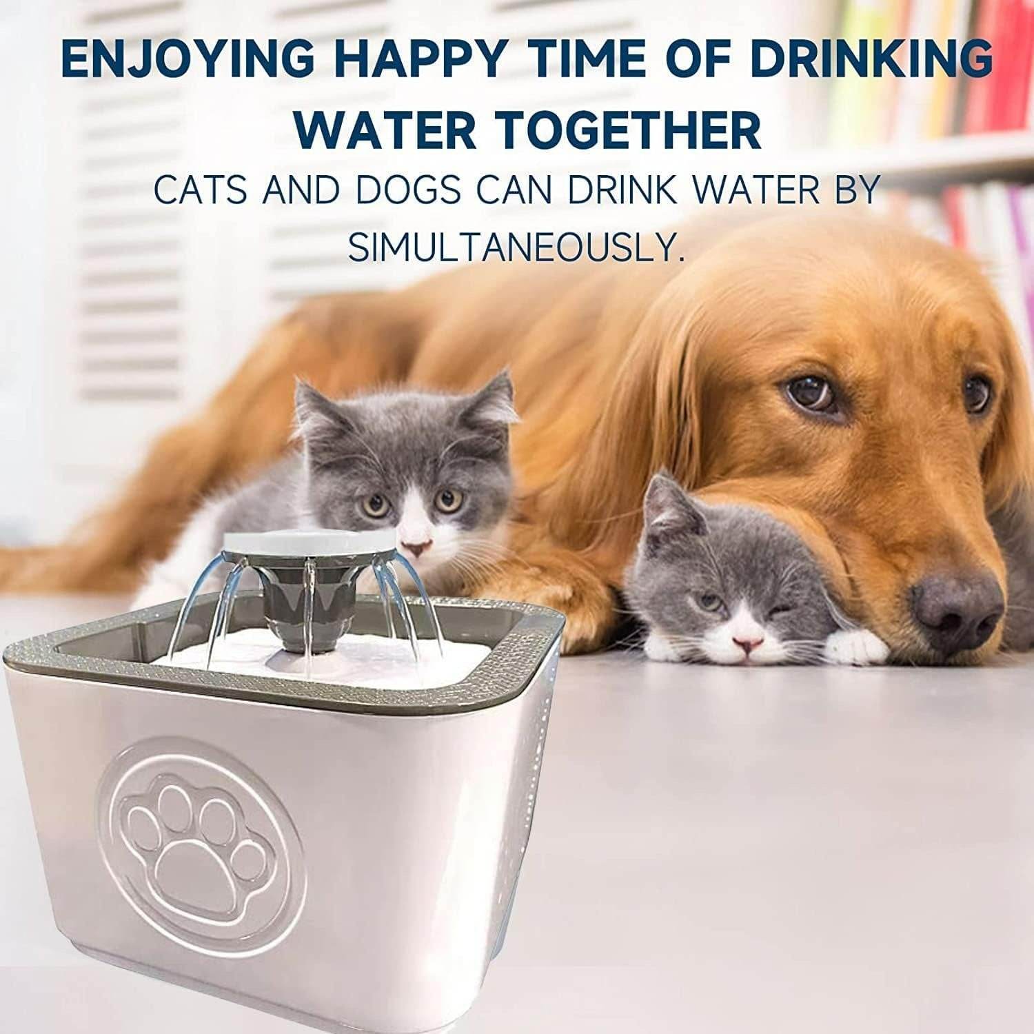 Paw Perfect Pet Water Fountain