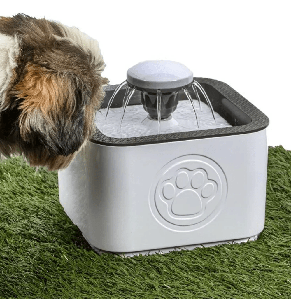 Paw Perfect Pet Water Fountain image 4