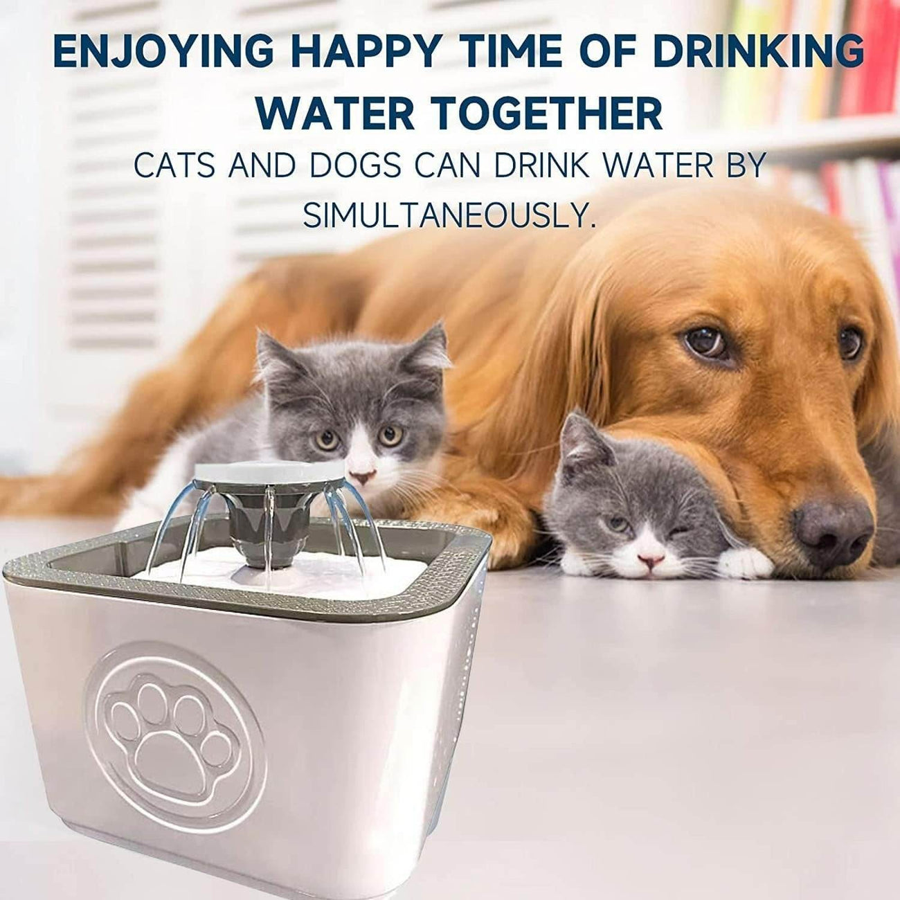 Paw Perfect Pet Water Fountain image 7